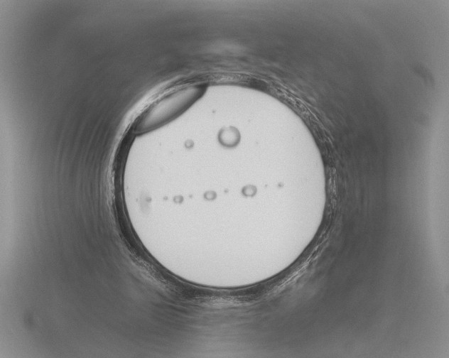 X0000115760246200912111051