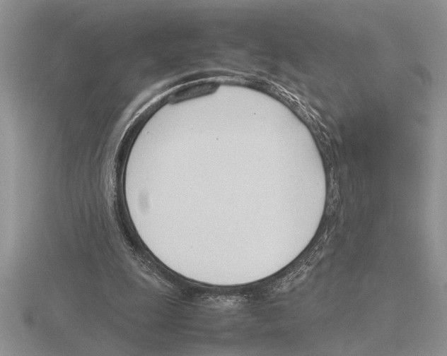 X0000115760247200912111051
