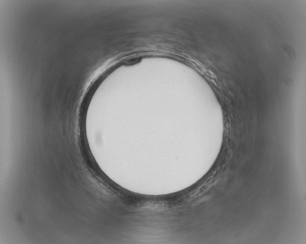 X0000115760248200912111051