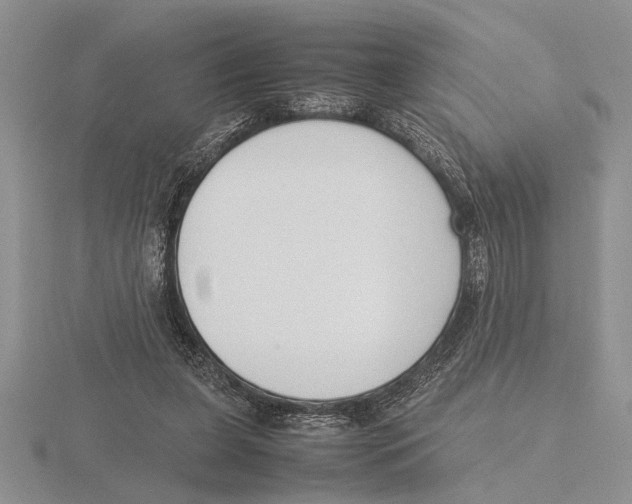 X0000115760255200912111052