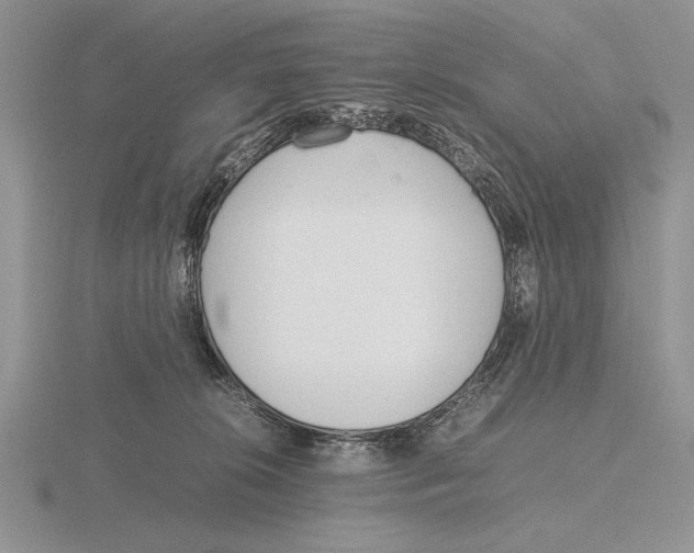 X0000115760276200912111052