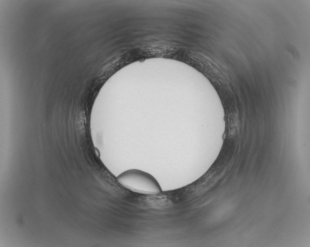 X0000115760279200912111052