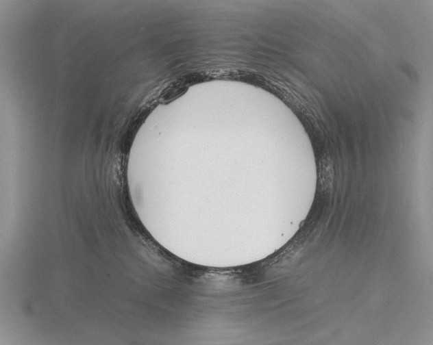 X0000115760280200912111052