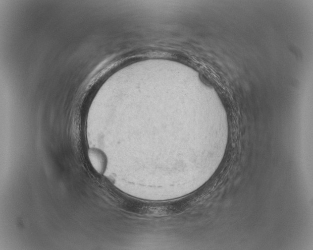 X0000115760295200912111051