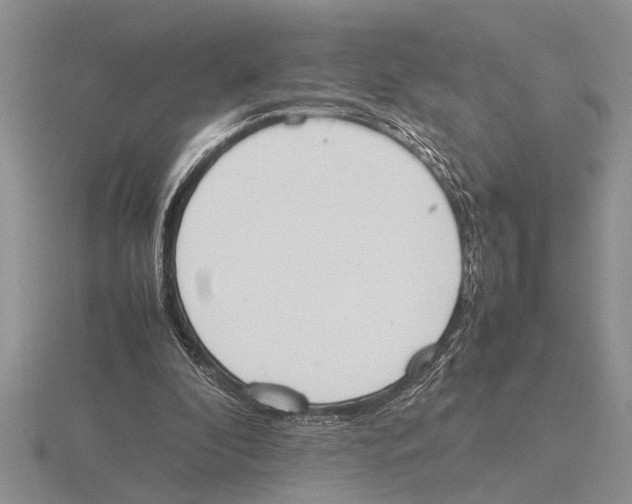 X0000115760296200912111051