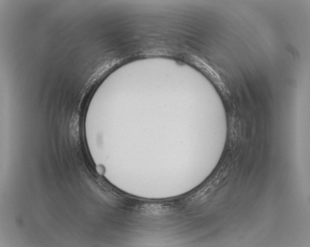 X0000115760298200912111051