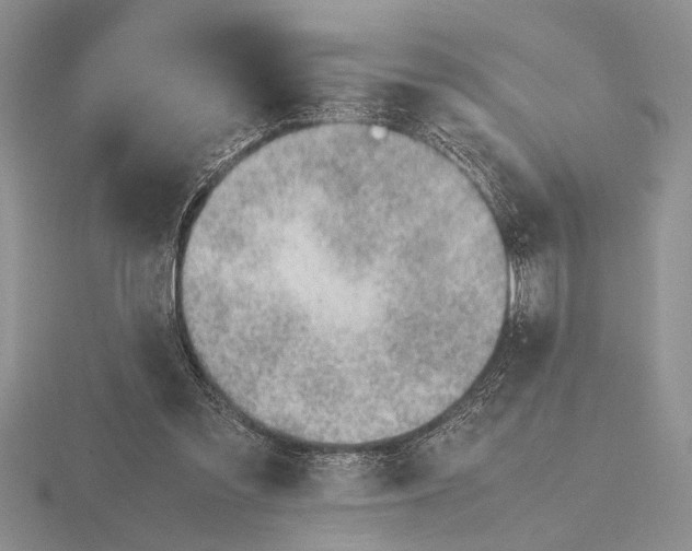X0000115760301200912111051
