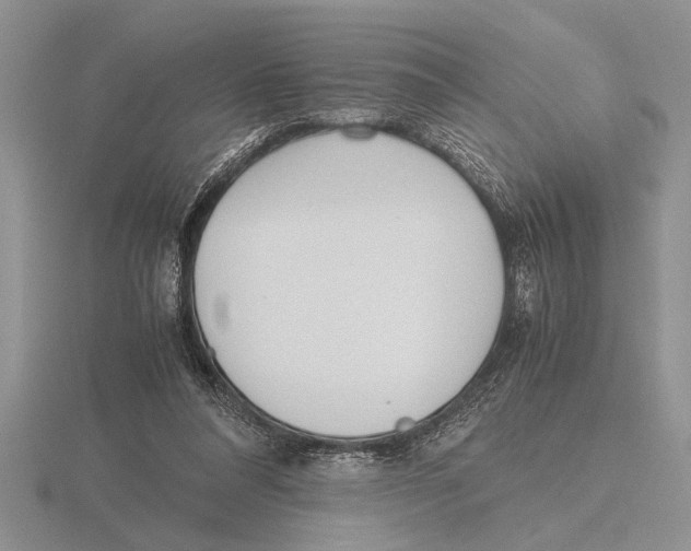 X0000115760304200912111051