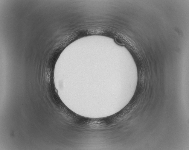 X0000115760315200912111051