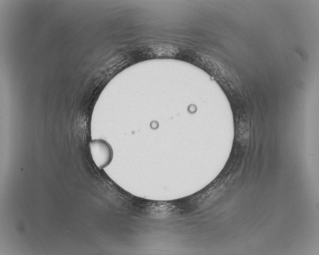 X0000115760321200912111051
