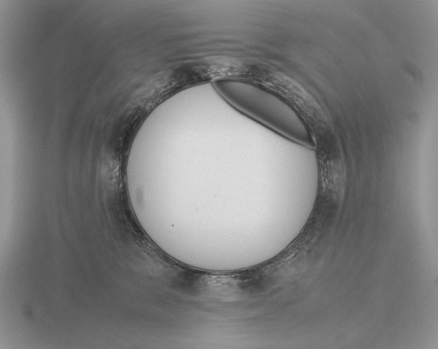 X0000115760327200912111051