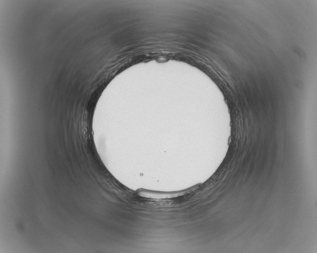 X0000115760328200912111051