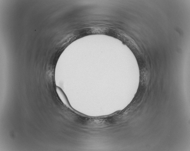 X0000115760329200912111051