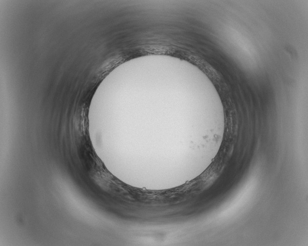 X0000115760334200912111051