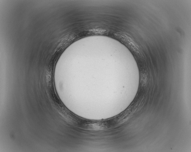 X0000115760365200912111050