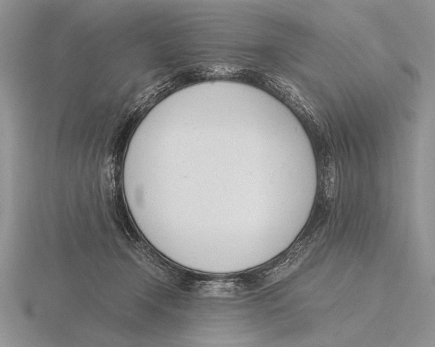 X0000115760366200912111050