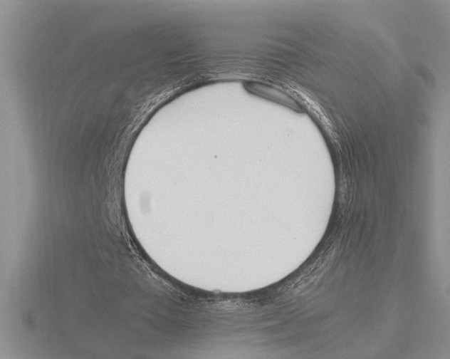 X0000115760385200912111050