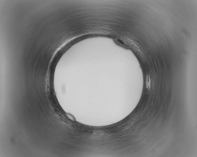 X0000115760388200912111050