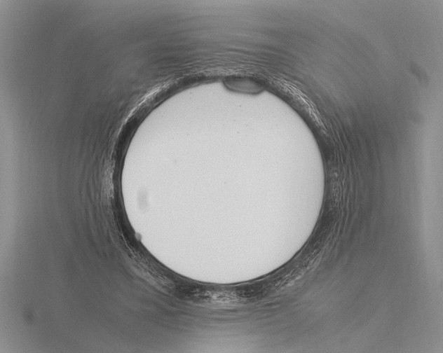 X0000115760395200912111050
