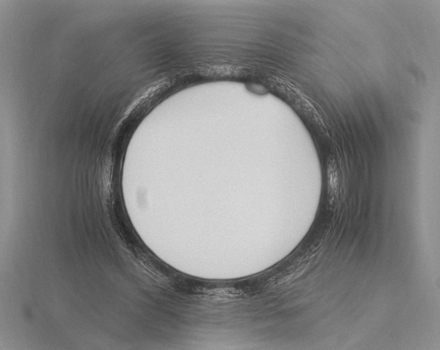 X0000115760396200912111050