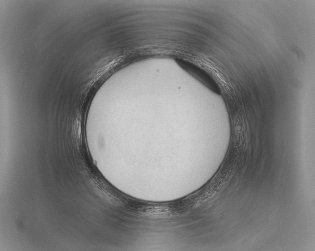 X0000115760398200912111050