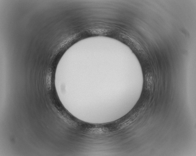 X0000115760404200912111050