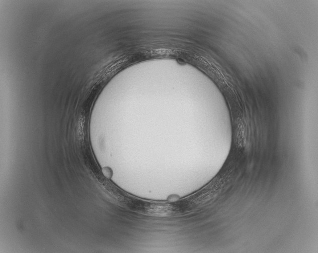 X0000115760410200912111050