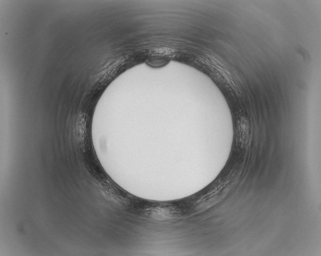 X0000115760412200912111050