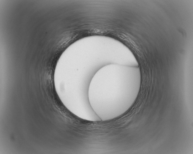 X0000115760415200912111050