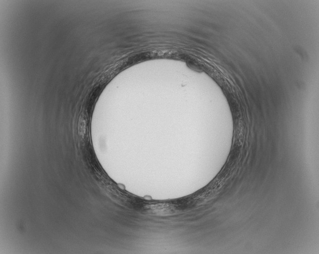 X0000115760417200912111050