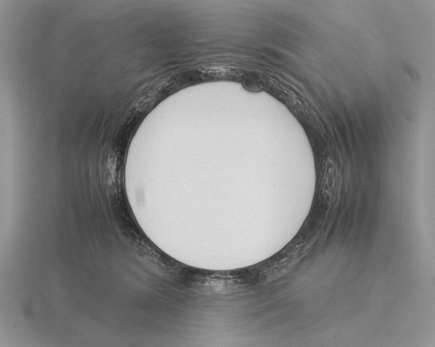 X0000115760420200912111050