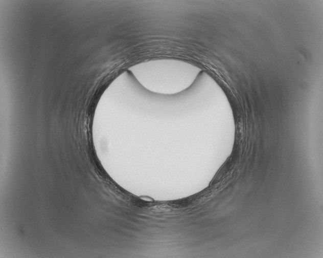 X0000115760423200912111050