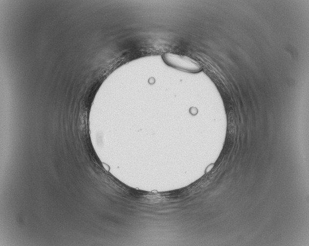 X0000115760425200912111050