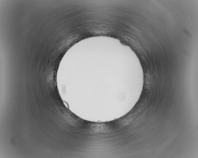 X0000115760428200912111050