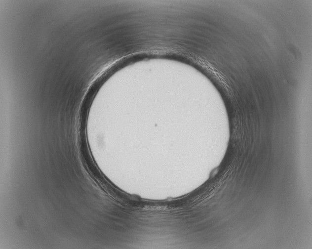 X0000115760440200912111049