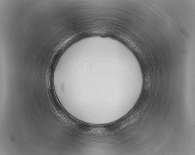 X0000115760446200912111049