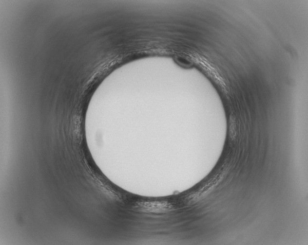 X0000115760449200912111049