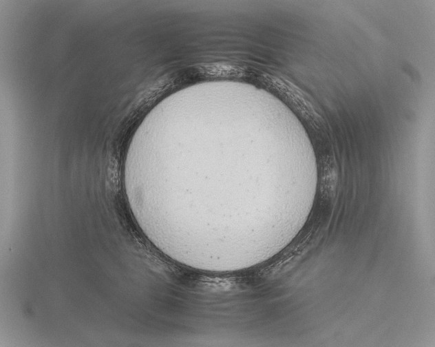 X0000115760469200912111049