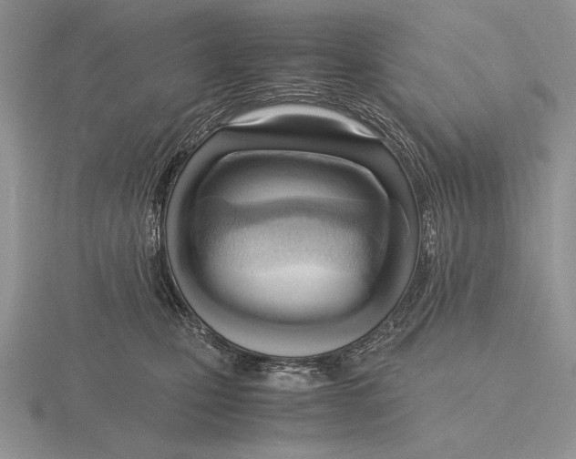 X0000115760471200912111049