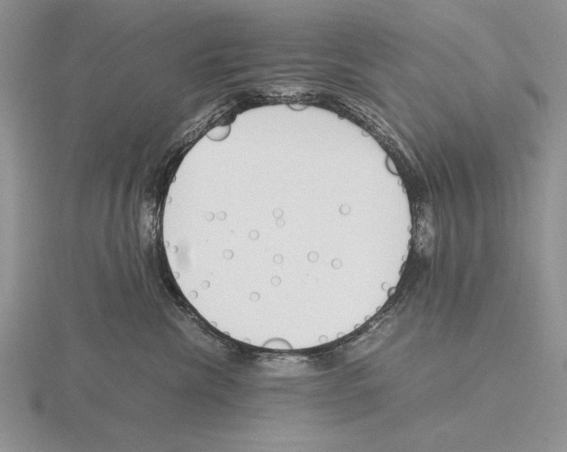 X0000115760476200912111049