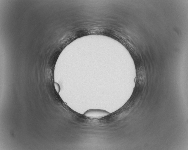 X0000115760523200912111048