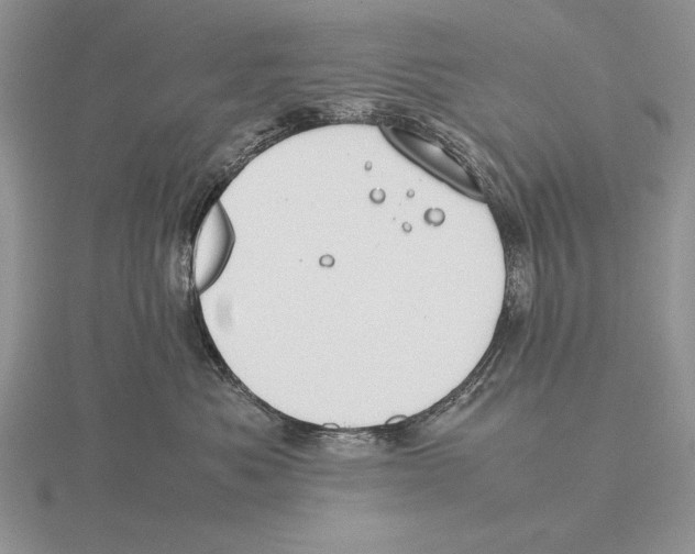 X0000115760525200912111048