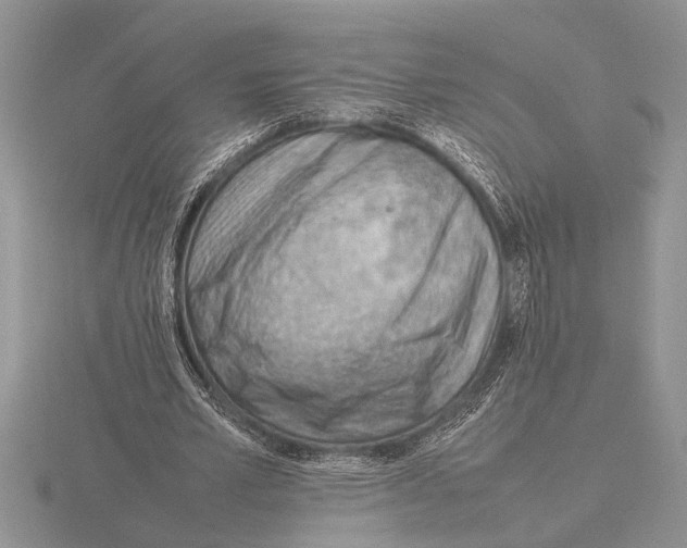 X0000115760581200912111048