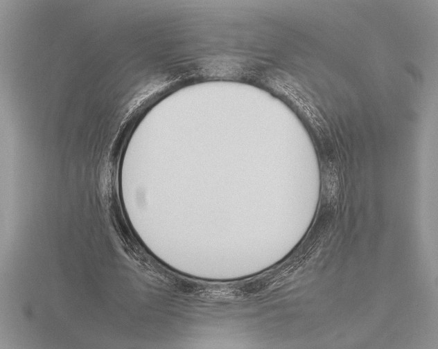 X0000115760583200912111048