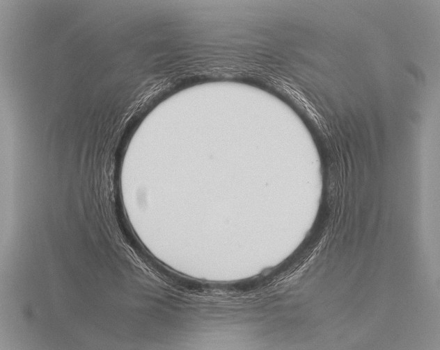 X0000115760585200912111048