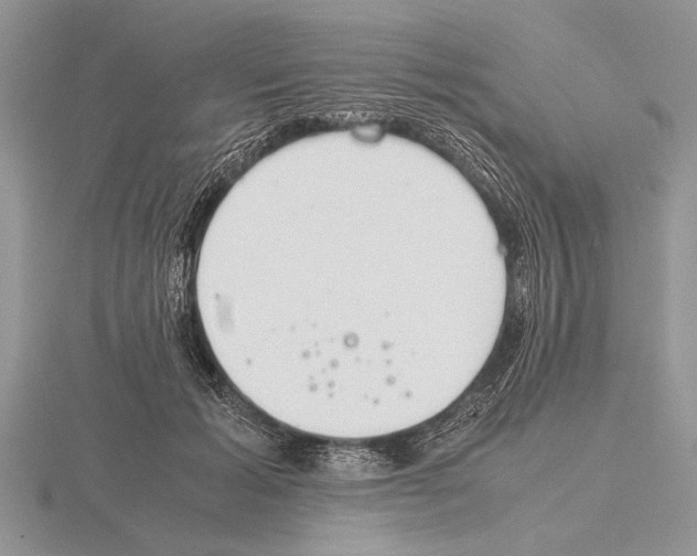 X0000115760605200912111047