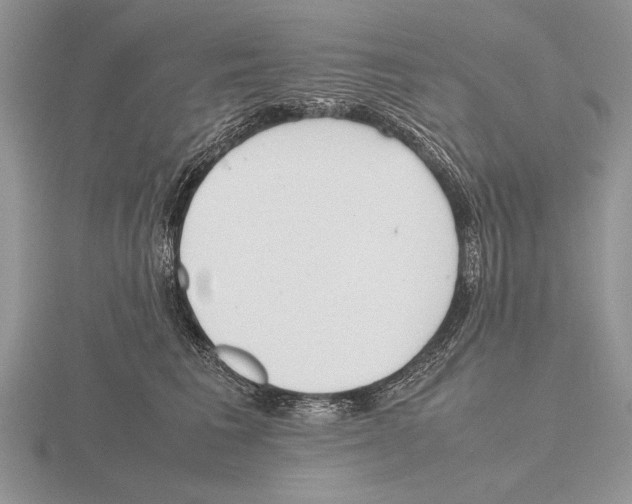 X0000115760613200912111047
