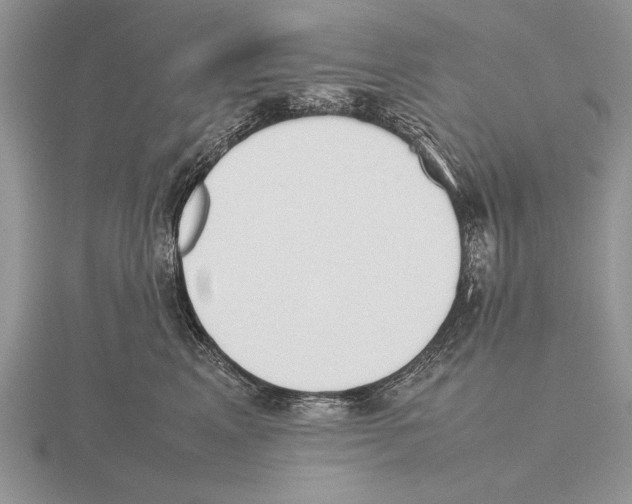 X0000115760617200912111047
