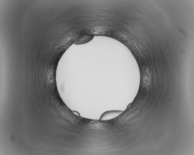 X0000115760620200912111047