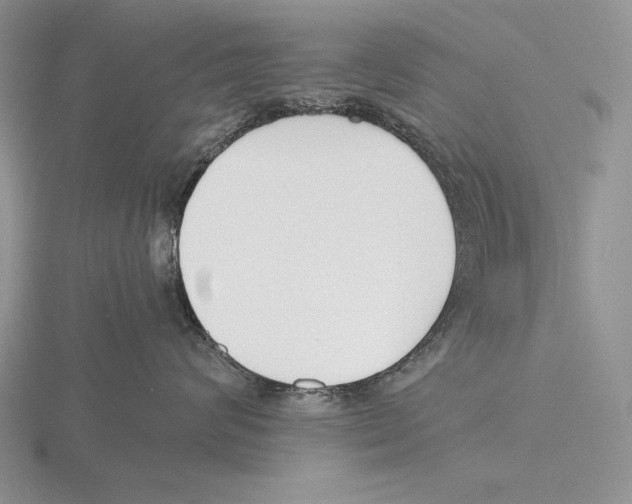 X0000115760624200912111047